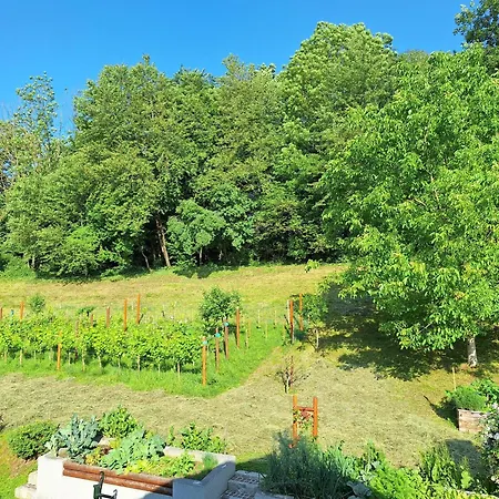 Am Weinbrunnen Oda ve Kahvaltı